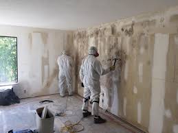 Biohazard Mold Removal